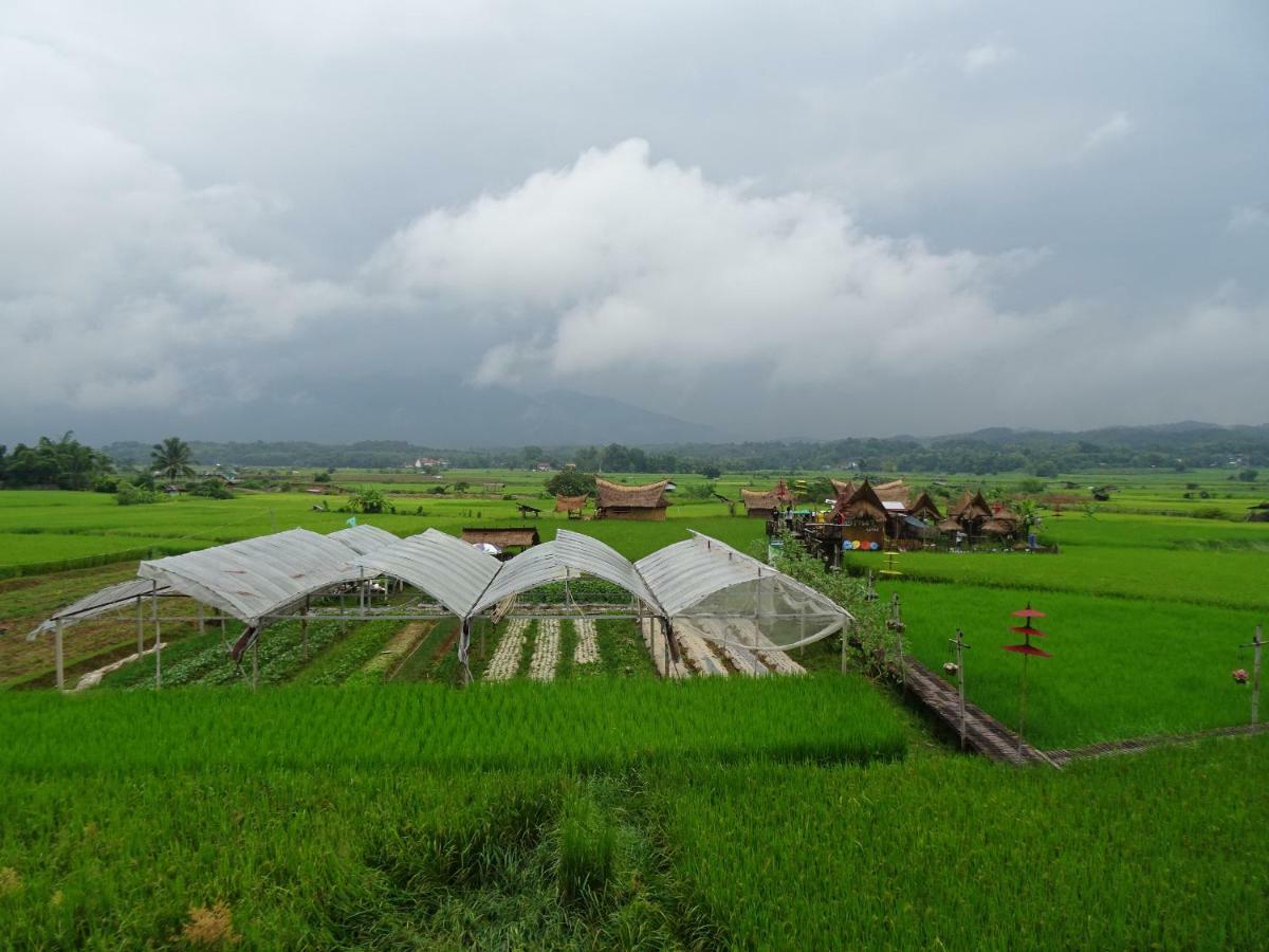 Pua Tranquil Vista Homestay Kültér fotó